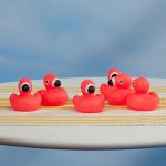 Bag Of Rubber Flamingos