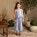 Toddler Ladybug and Blue Check Peplum Pant Set