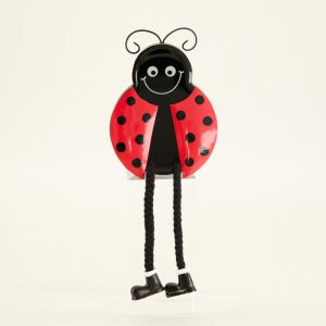 Ladybug Sitter – Boy