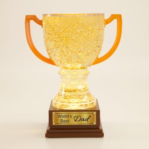 Worlds Best Dad Glitter Globe