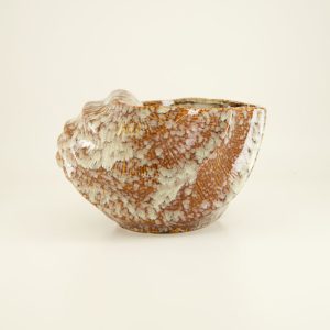 Shell Planter