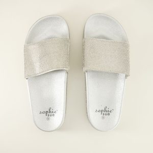 Silver Sparkle Pool Slides
