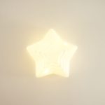 LED White Glass Star